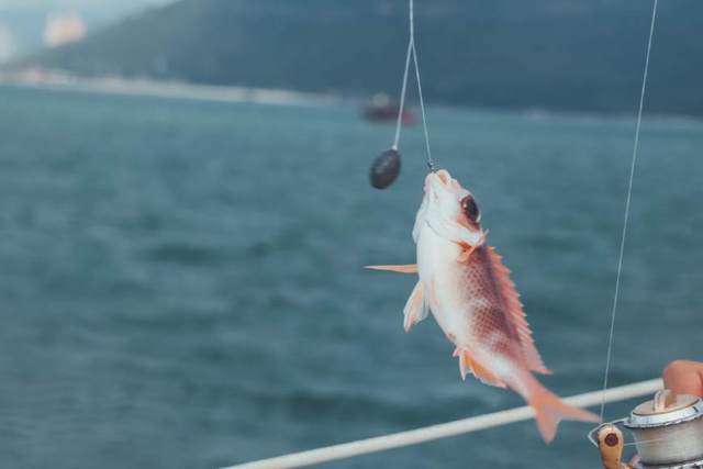 碧海蓝天，阳光沙滩，在三亚用最慵懒的方式过最美的流年