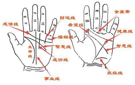 秒懂手相：从三大主线看两人是否是天生一对