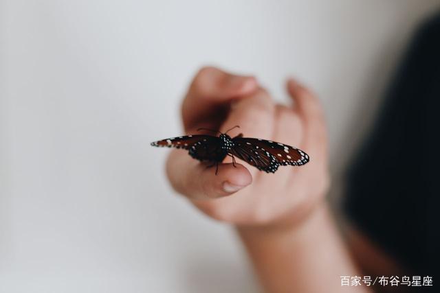 处女座与这个星座，争吵是常态，走进婚姻反而更甜蜜