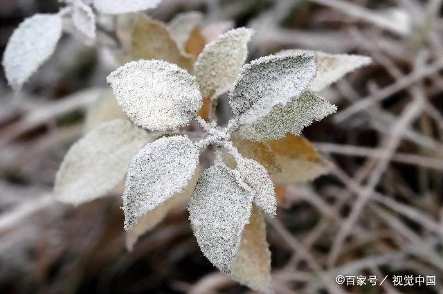 人人都能读懂的《易经》连载之十五