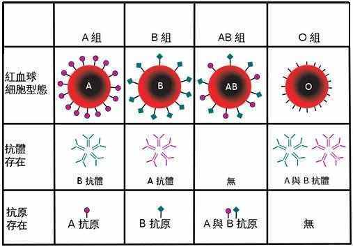 血型与历史：那些还不知道自己血型的人，注意了！