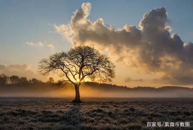 你命盘上的天相是财荫夹还是刑忌夹？紫微斗数宫位浅析