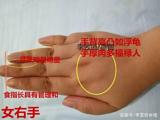 女人这种手相，手背如龟，钱财不断；手厚肉多有福人！