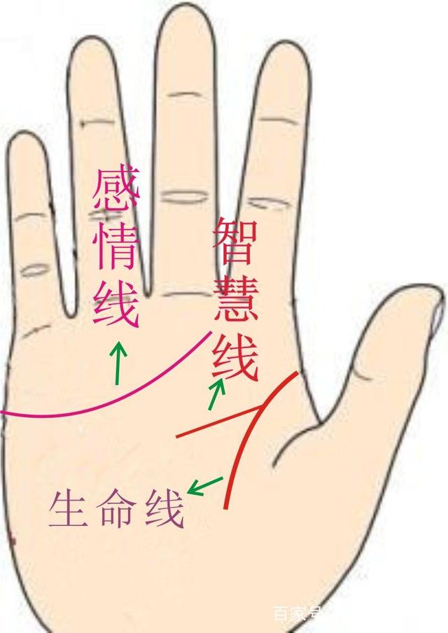 王哥细聊生命线的含义「四」