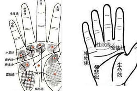 婚姻线的形状表示什么 你的婚姻走向是怎样