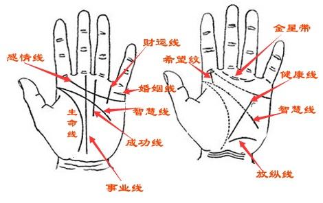 算命先生看手相为什么要看男人左手，有什么说法在里面么