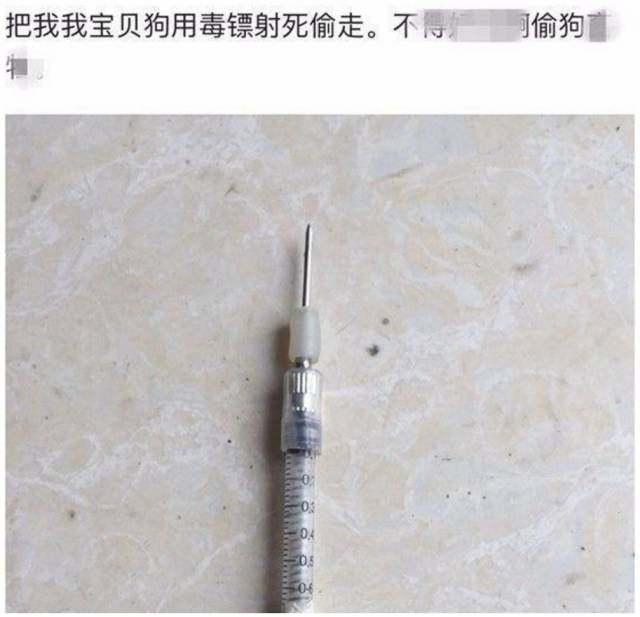 偷狗贼被打哭，日渐偷狗猖獗的冬季，请牵好狗狗的生命线