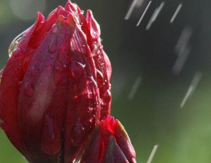 越下雨越有钱的三大生肖，财富雨在七月中旬都跑到这三大生肖家