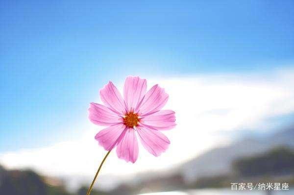 注意，水瓶座最不能接受的四种行为，个个都是雷区