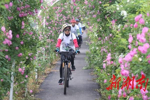 石鼓民生暖民心⑤丨打通乡村旅游“生命线”——石鼓区“打造衡阳市近郊休闲旅游新高地”侧记