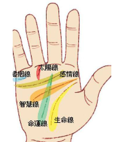 史上最罕见的手相掌纹图解大全