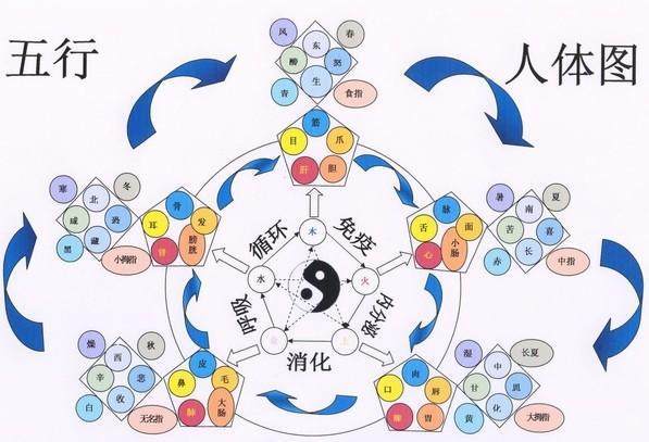 值得收藏！一分钟看懂易经学基础知识