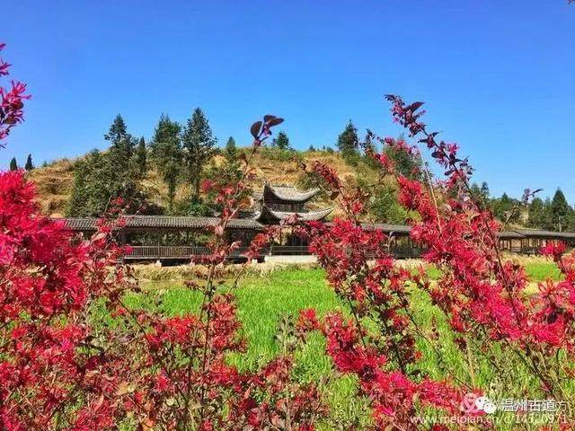 清明访千古明相刘伯温故里，探九龙抢珠之风水宝地