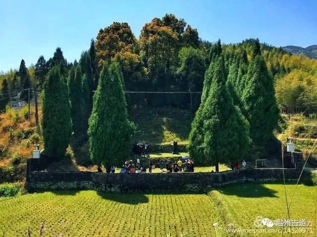 清明访千古明相刘伯温故里，探九龙抢珠之风水宝地