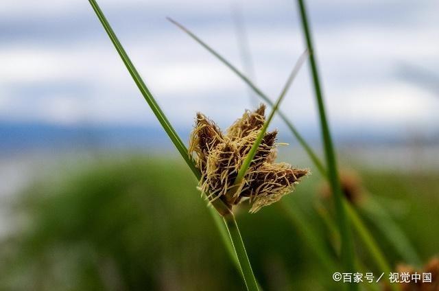 流年似水，岁月蹉跎，10首古诗词，叹十年心事，休休莫莫