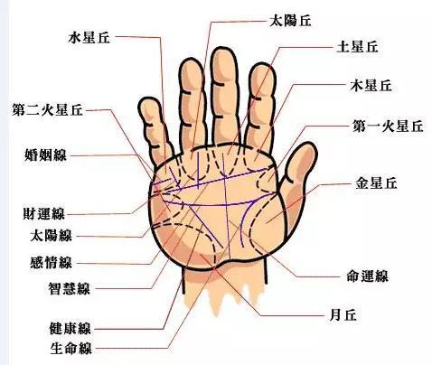 秒懂手相：有事业线的人就一定能事业有成吗