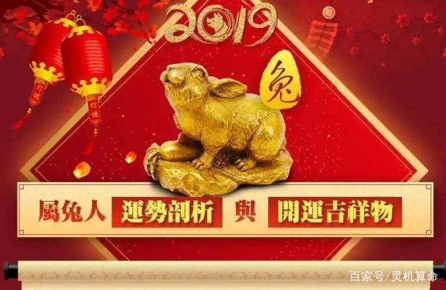 流年三合吉星入命，详解属兔人2019年四大运势