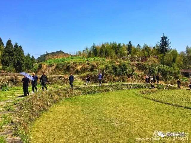 清明访千古明相刘伯温故里，探九龙抢珠之风水宝地