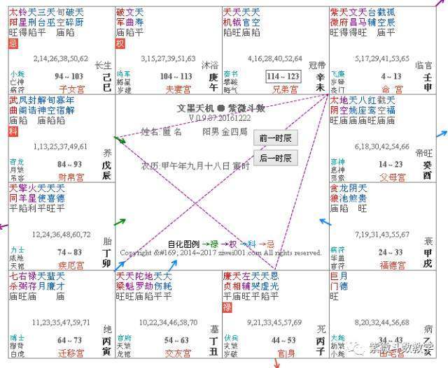 紫微斗数格局：紫府同宫格