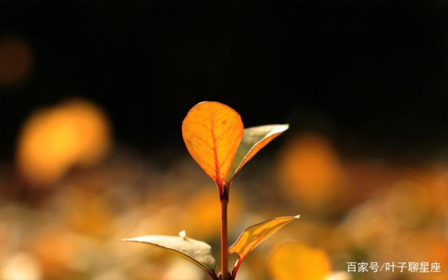 白羊座：认准了吃亏是福，不计较的人生更加自在