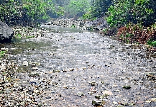  梦见河流溪流