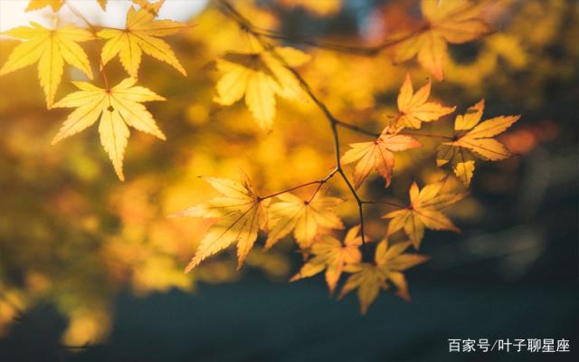 白羊座：认准了吃亏是福，不计较的人生更加自在