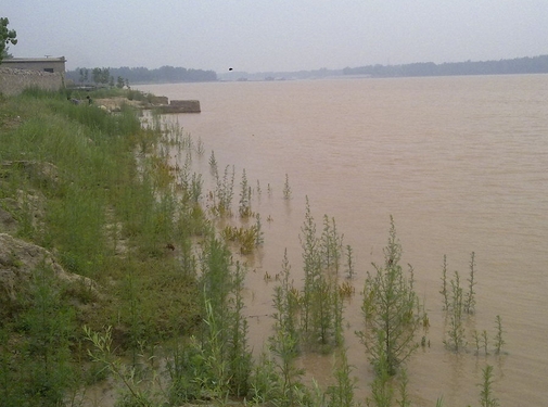 梦见黄河涨水