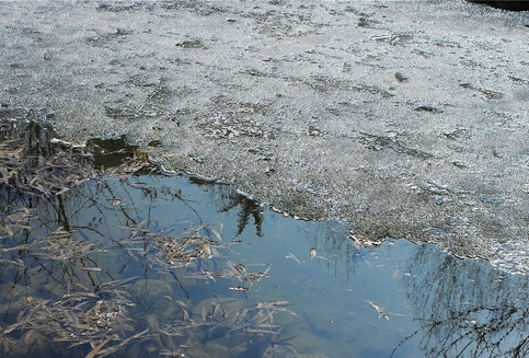 梦见河水有冰