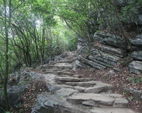 梦见崎岖小路