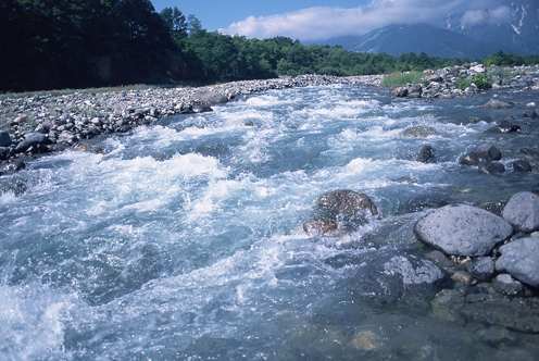 梦见河流水