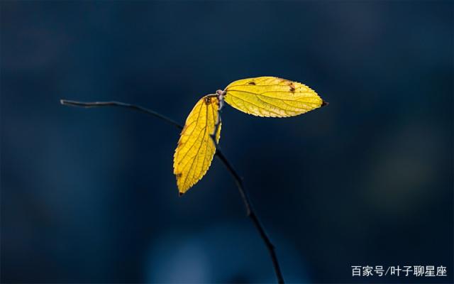 处女座：给爱情留一点余地，让未来有迹可循