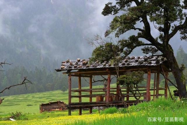 星座物语：天蝎座一旦爱上一个人便会全心全意去爱