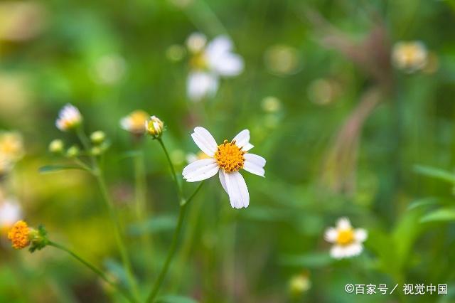 实力雄厚，却深藏不露的3星座