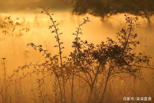 12星座最易受委屈的三个星座！一个脾气好 一个不计较 一个傻白甜