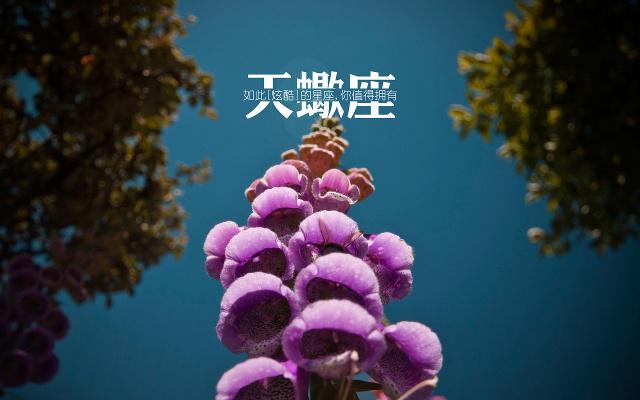 天蝎座偏爱“这三种异性”，吸引力法则，牢牢栓住天蝎的心！