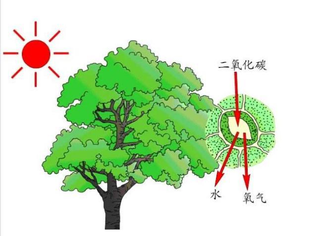 隐藏在风水学中，善恶的道理，再谈江西黎川绝户坟的故事