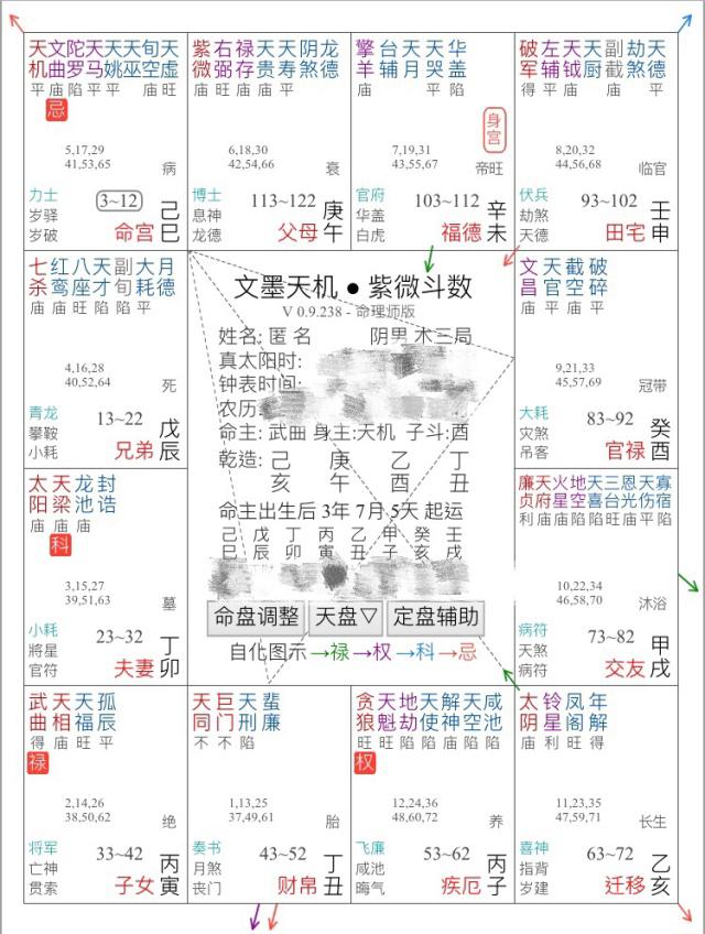 紫微斗数命盘分析及打分