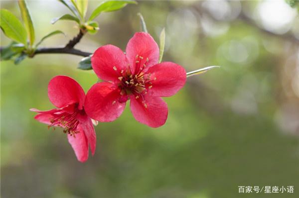 6月中旬财运聚拢，遍地金琼，横财飞入家中，赚得富贵昌隆的生肖