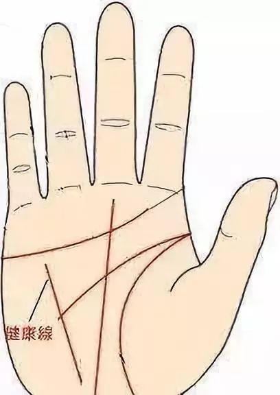 手掌的补助四线各代表哪些运势？