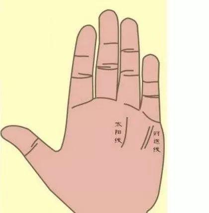 手掌的补助四线各代表哪些运势？