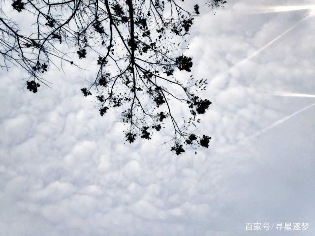 十二星座黑化之后——水瓶座：一个没有感情的杀手