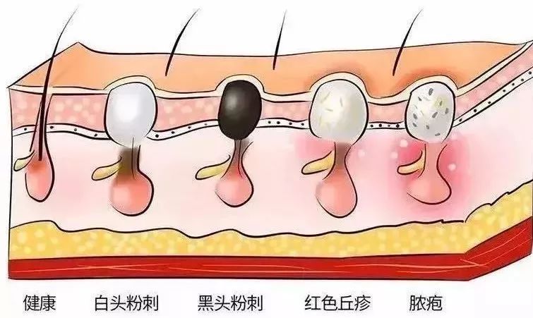 十二星座到底谁是磨人的小妖精！