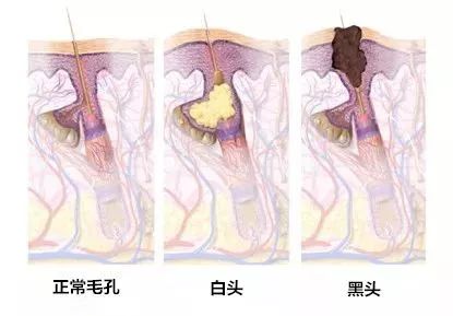 十二星座到底谁是磨人的小妖精！