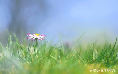 自然大方，这些星座在异性面前，开朗活泼，能够准确读懂对方心思