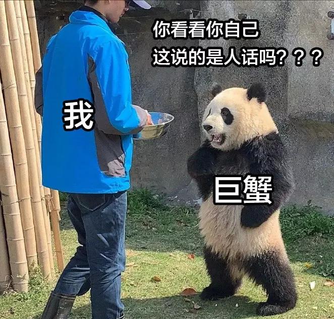 家庭事业两不误，这个星座难道是神仙吗？