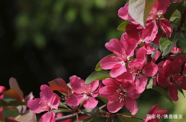 4月属鼠财运事业运：贵人相助