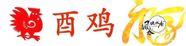 2019年属猴、鸡的运势如何呢？快来看看吧