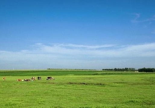 平原、旷野