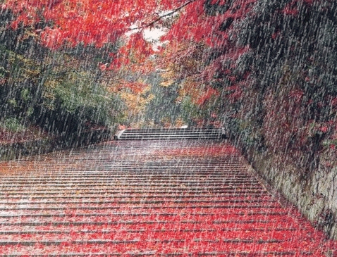 要下大雨