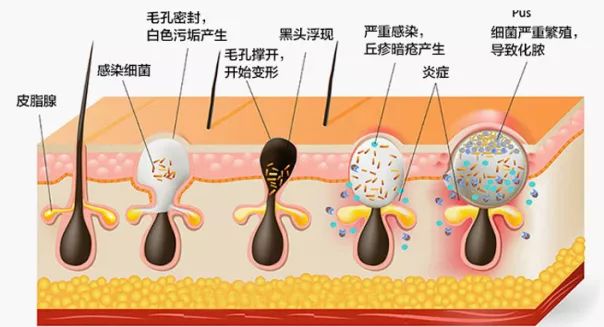 十二星座女都是如何“毁掉”自己的桃花的！扎心！